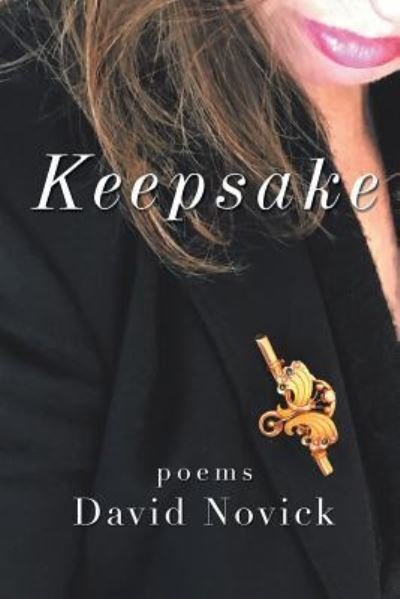 Cover for David Novick · Keepsake (Paperback Book) (2017)