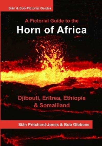 The Horn of Africa - Sian Pritchard-Jones - Kirjat - CreateSpace Independent Publishing Platf - 9781530282920 - keskiviikko 20. huhtikuuta 2016