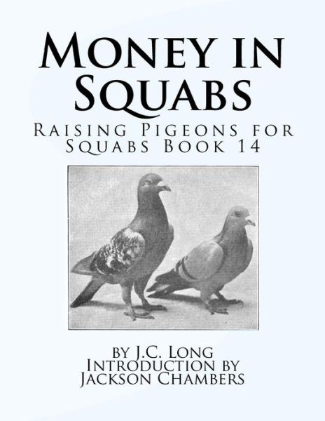 Cover for J C Long · Money in Squabs (Pocketbok) (2016)