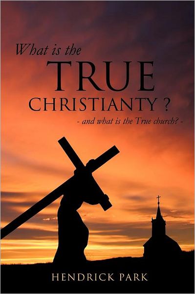 Cover for Hendrick Park · What is the True Christianty ? (Paperback Book) (2012)