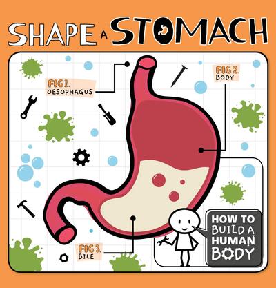 Cover for Kirsty Holmes · Shape a Stomach - How to Build a Human Body (Hardcover Book) (2019)