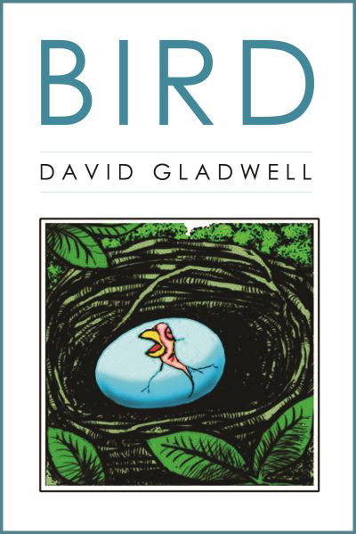 Cover for David Gladwell · Bird (Pocketbok) (2021)