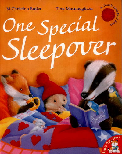 Cover for M Christina Butler · One Special Sleepover - Little Hedgehog (Paperback Book) [UK edition] (2015)