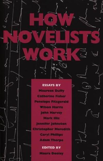 How Novelists Work - Adam Thorpe - Books - Poetry Wales Press - 9781854111920 - June 16, 2000