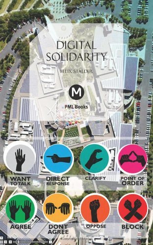 Cover for Felix Stalder · Digital Solidarity (Post-media Lab) (Paperback Book) (2013)