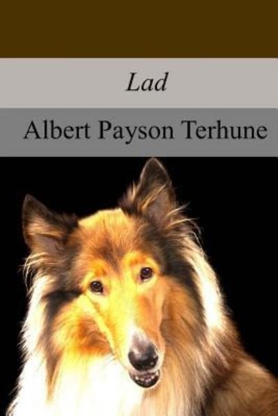 Cover for Albert Payson Terhune · Lad (Paperback Book) (2017)