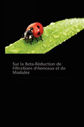 Cover for Aboubacrine Assadek · Sur La Beta-réduction De Filtrations D'anneaux et De Modules: Beta-réductions De Filtrations D'anneaux et De Modules (Paperback Bog) [French edition] (2018)