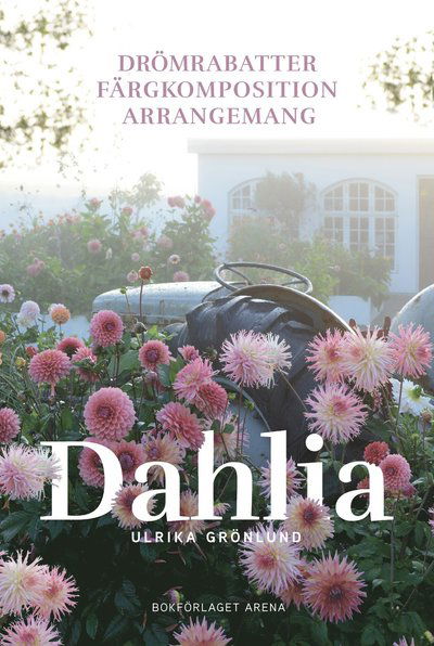 Cover for Ulrika Grönlund · Dahlia: samplantering, färgkomposition och arrangemang (Bound Book) (2024)