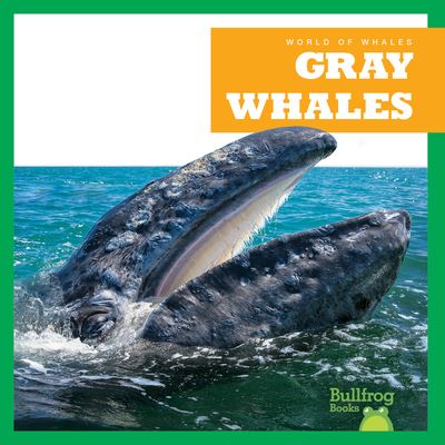 Cover for Eliza Leahy · Gray Whales - World of Whales (Hardcover Book) (2023)