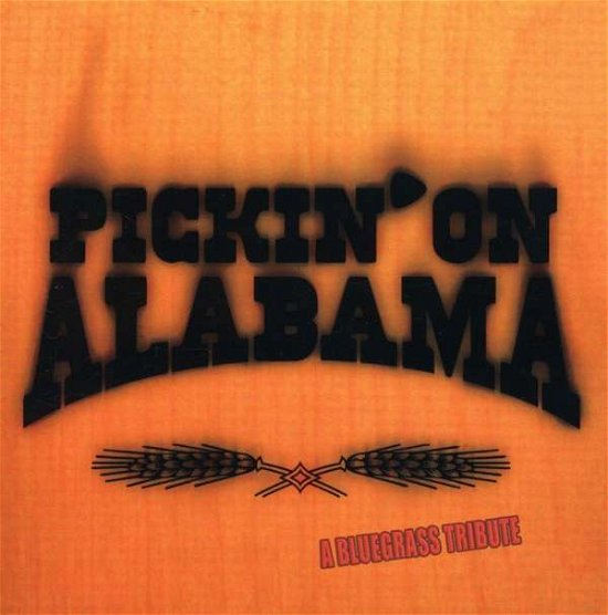 Pickin' On Alabama - V/A - Music - VITAMIN - 0027297878921 - August 26, 2004