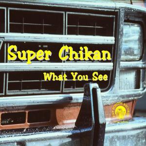 Cover for Super Chikan · What You See (CD) (2010)