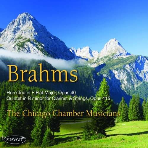 Cover for Chicago Chamber Musicians · Brahms (CD) (2015)