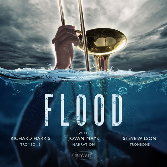 Flood - Steve Wilson & Richard Harris & Jovan Mays - Muzyka - SUMMIT RECORDS - 0099402806921 - 14 kwietnia 2023