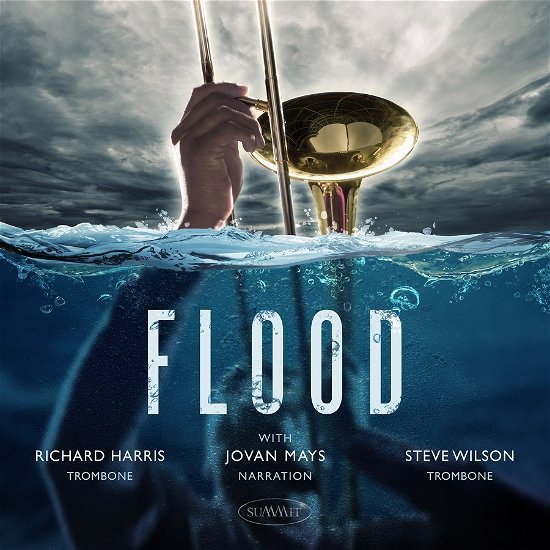 Steve Wilson & Richard Harris & Jovan Mays · Flood (CD) (2023)