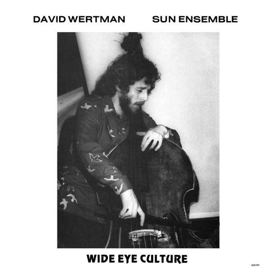 Cover for David Wertman &amp; Sun Ensemble · Wide Eye Culture (LP) [Deluxe edition] (2022)