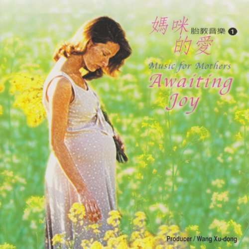 Cover for Nanjing Chinese Trad · Awaiting Joy (CD) (1998)