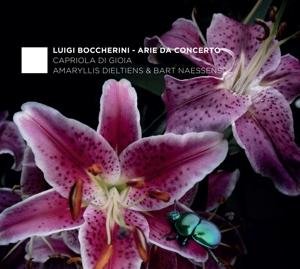 Cover for Capriola Di Gioia · Boccherini: Arie Da Concerto (CD) (2017)