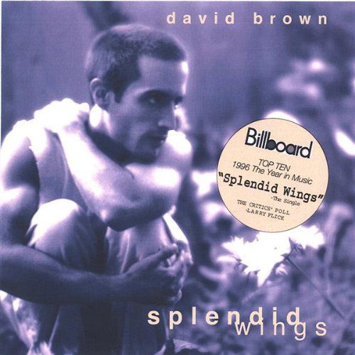 Splendid Wings - David Brown - Muzyka - Chihuahua Records - 0677317430921 - 3 stycznia 2006