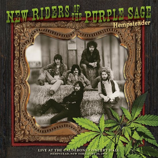 Cover for New Riders Of The Purple Sage · Hempsteader: Live At The Calde (CD) (2024)