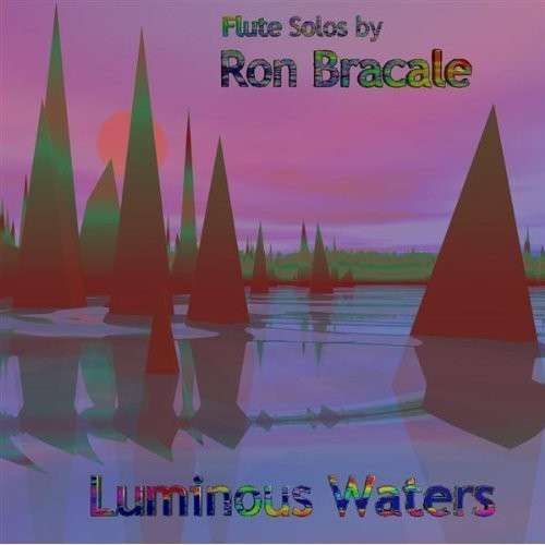 Cover for Ron Bracale · Luminous Waters (CD) (2004)