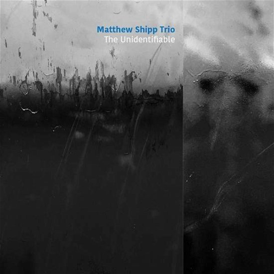 Matthew Shipp Trio · Unidentifiable (CD) (2020)