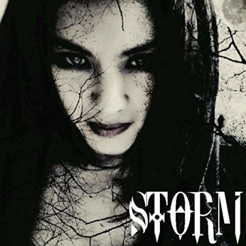 Cover for Storm · Storm's a Brewin (CD) (2015)