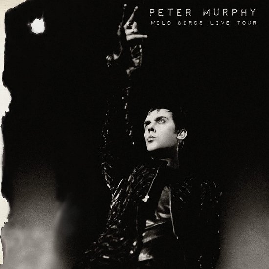Cover for Peter Murphy · Wild Birds Live Tour (CD) (2022)
