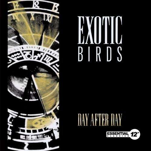 Cover for Exotic Birds · Day After Day-Exotic Birds (CD) (2013)