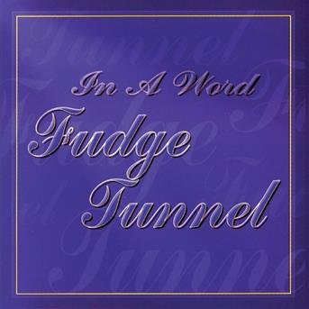 Cover for Fudge Tunnel  · In A Word (CD)