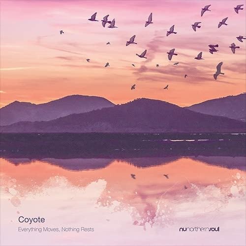 Cover for Coyote · Everything Moves, Nothing Rests (LP) (2022)