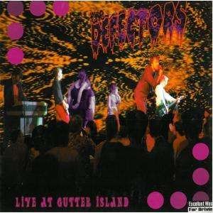 Cover for Defectors · Live at Gutter Island (LP) (2004)