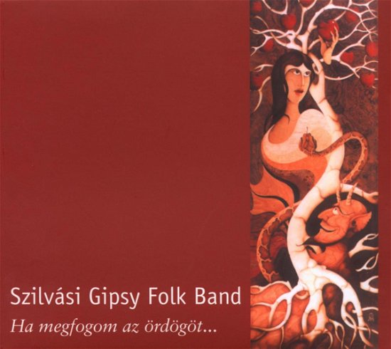 Cover for Szilvasi Gypsy Folk Band · If I Catch The Devil (CD) (2007)