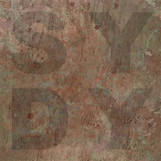 Cover for Shiny Darkly · Bronze (LP) (2019)