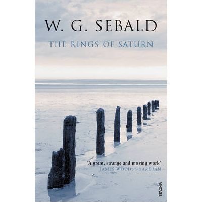 Cover for W.G. Sebald · The Rings of Saturn (Paperback Book) (2002)