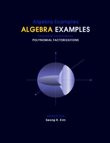 Cover for Seong R Kim · Algebra Examples Polynomial Factorizations (Pocketbok) (2012)