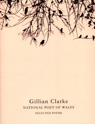 Cover for Gillian Clarke · Selected Poems (Taschenbuch) [Main Market Ed. edition] (2016)