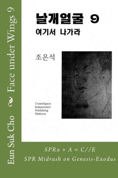 Cover for Eun Suk Cho · Face Under Wings 9 (Paperback Book) (2015)