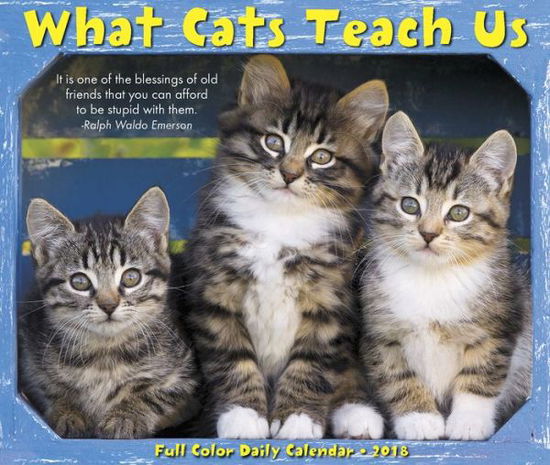 Cover for Willow Creek Press · What Cats Teach Us 2018 Box Calendar (Paperback Book) (2017)