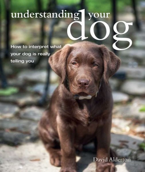 Cover for David Alderton · Understanding Your Dog: How to Interpret What Your Dog is Really Telling You (Paperback Book) (2016)