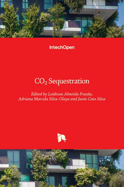 Cover for Leidivan Almeida Frazao · CO2 Sequestration (Hardcover Book) (2020)