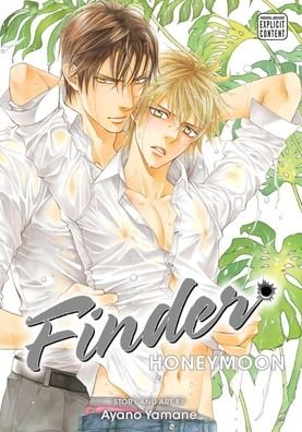 Cover for Ayano Yamane · Finder Deluxe Edition: Honeymoon, Vol. 10 - Finder Deluxe Edition (Pocketbok) (2021)