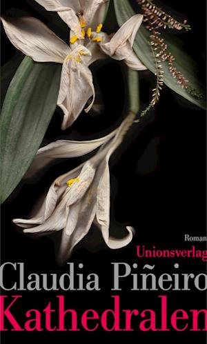 Cover for Claudia Piñeiro · Kathedralen (Book) (2023)