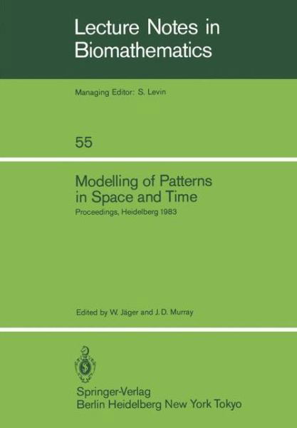 Cover for W Jager · Modelling of Patterns in Space and Time: Proceedings of a Workshop Held by the Sonderforschungsbereich 123 at Heidelberg July 4 8, 1983 (Taschenbuch) (1984)