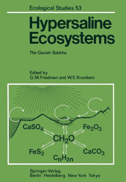Cover for G M Friedman · Hypersaline Ecosystems: The Gavish Sabkha - Ecological Studies (Taschenbuch) [Softcover reprint of the original 1st ed. 1985 edition] (2011)