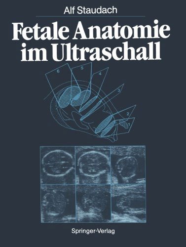 Cover for Alf Staudach · Fetale Anatomie Im Ultraschall (Paperback Book) [Softcover Reprint of the Original 1st 1986 edition] (2012)