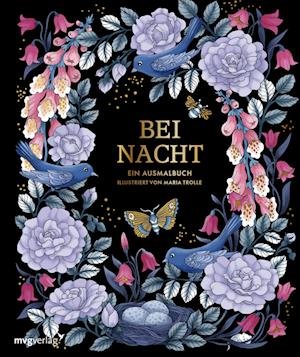 Cover for Maria Trolle · Bei Nacht - Ein Ausmalbuch (Paperback Book) (2022)