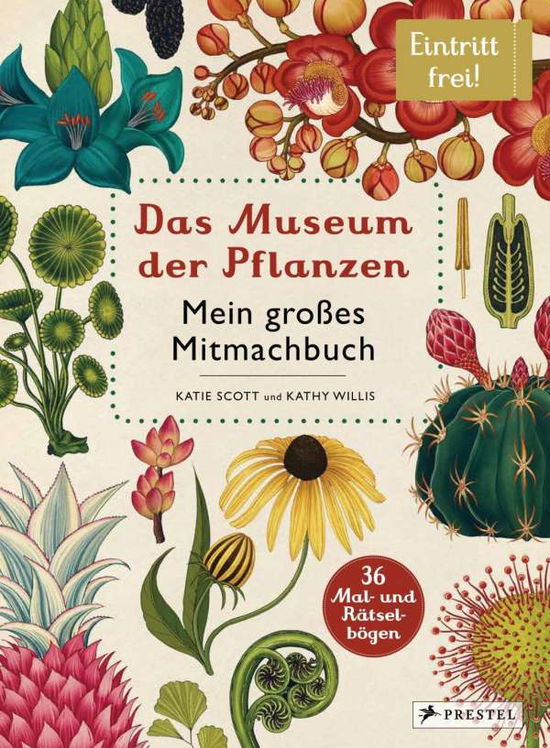 Cover for Willis · Das Museum der Pflanzen. Mein Mi (Book)