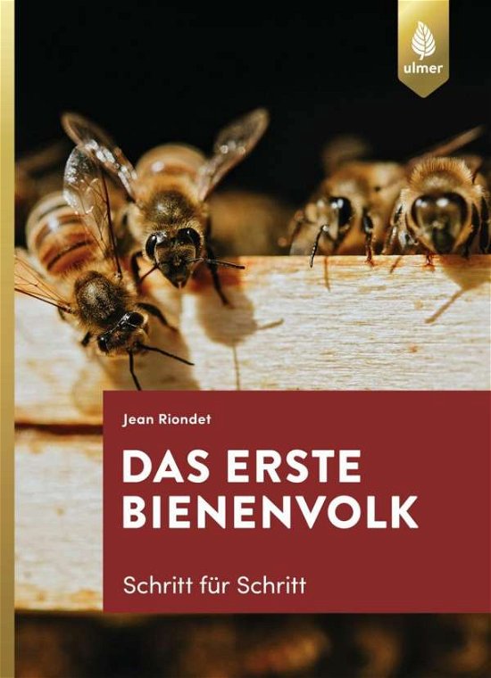 Cover for Riondet · Das erste Bienenvolk - Schritt (Bok)