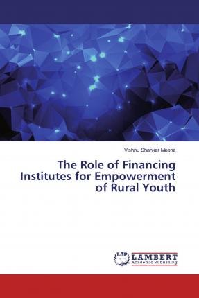 Cover for Meena · The Role of Financing Institutes (Bog)