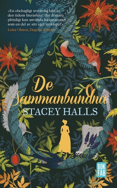 Cover for Stacey Halls · De sammanbundna (Pocketbok) (2022)